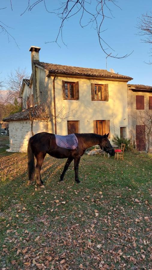 La Caneveta Al Piave Valdobbiadene Eksteriør bilde