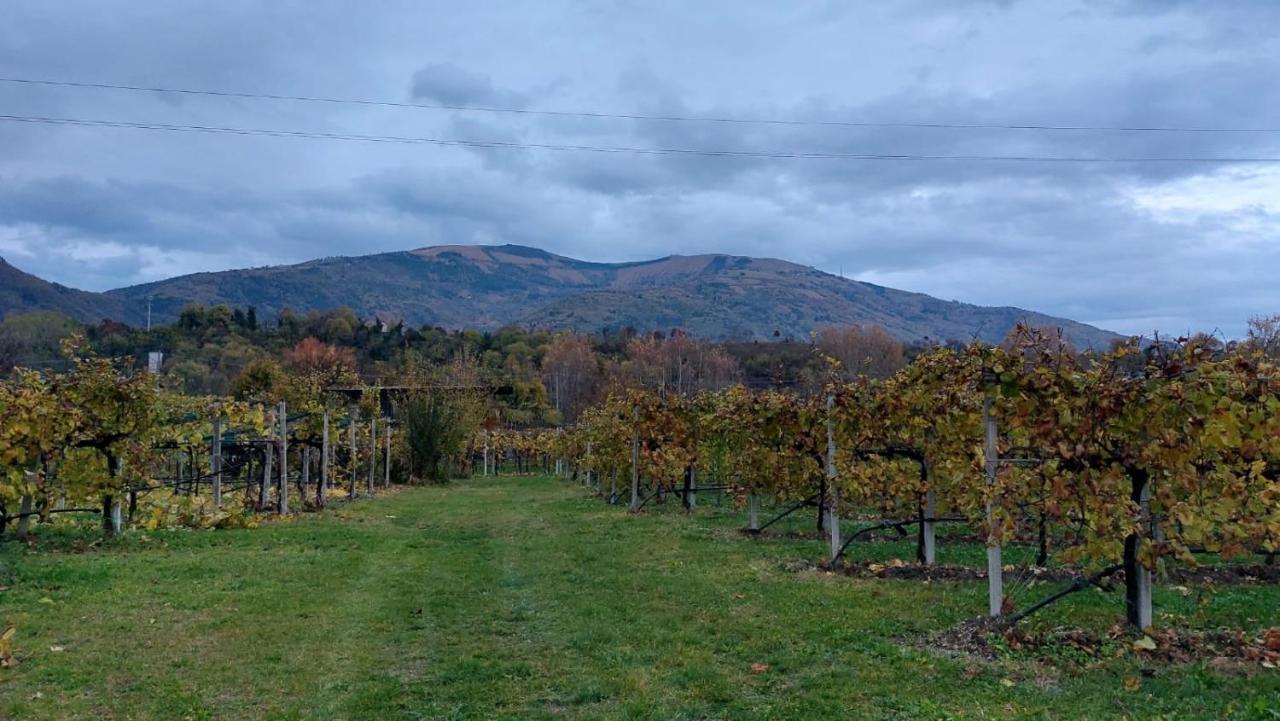 La Caneveta Al Piave Villa Valdobbiadene Eksteriør bilde