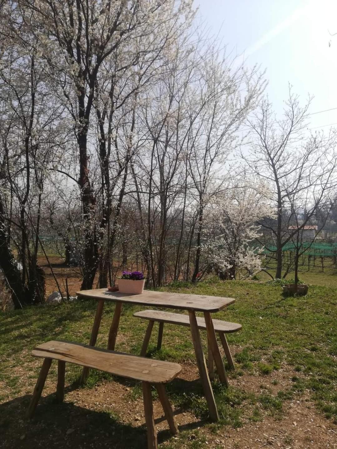 La Caneveta Al Piave Valdobbiadene Eksteriør bilde